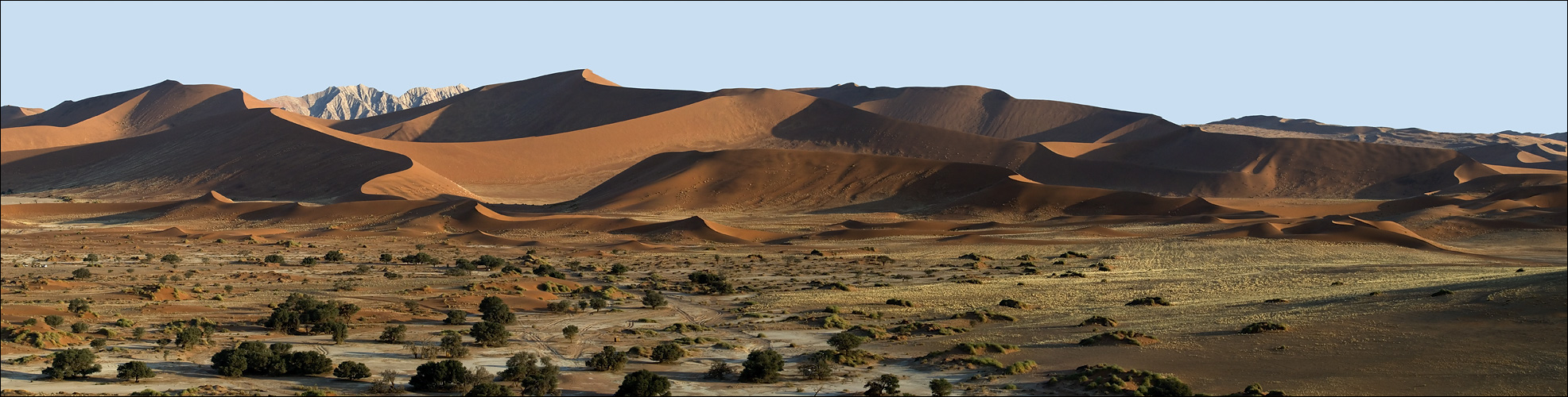 Namib-Panorama