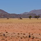 namib picknik 2018