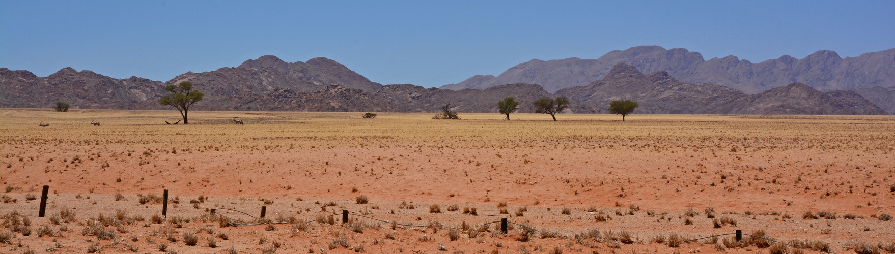 namib picknik 2018