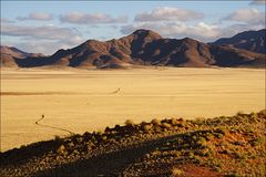 Namib-Rand