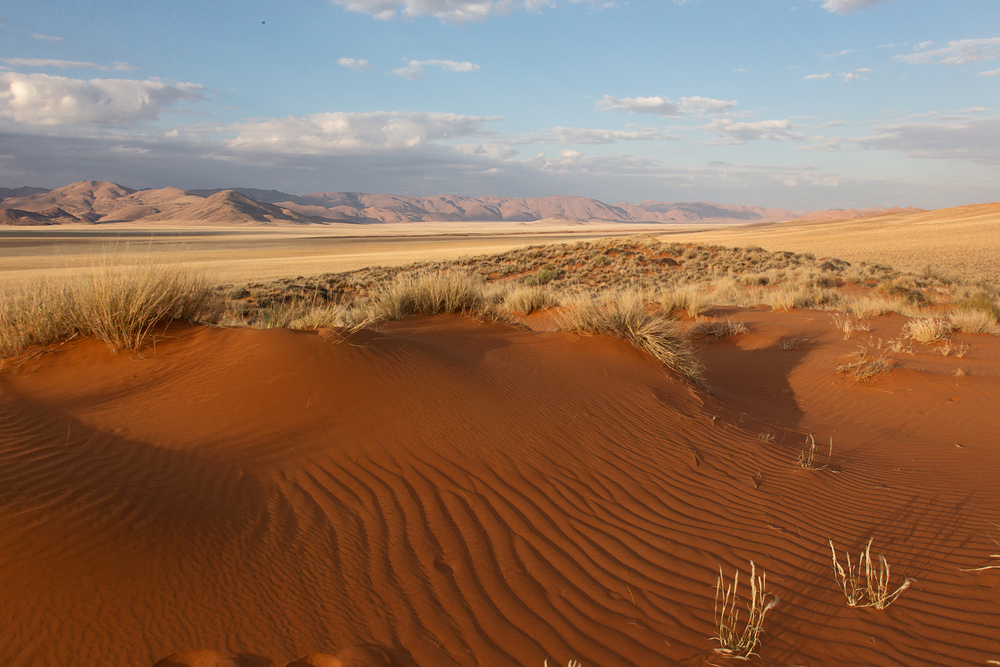 Namib Rand