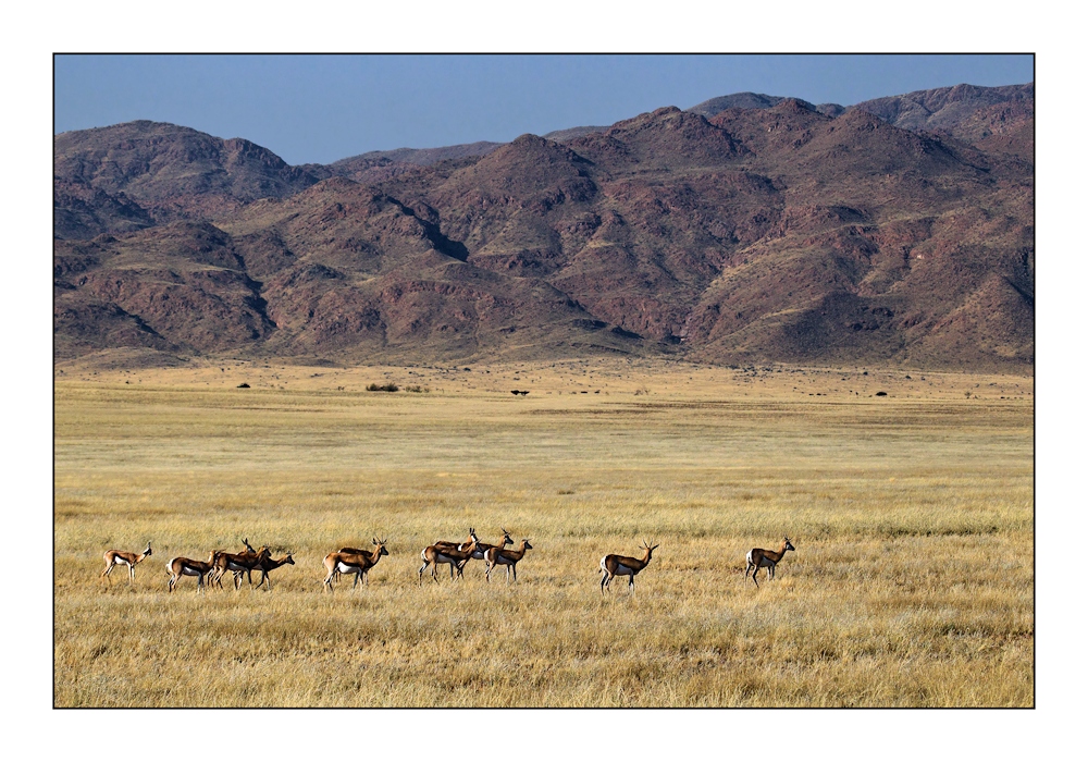 Namib Rand