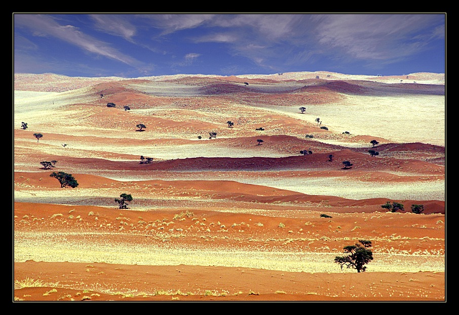 Namib Rand