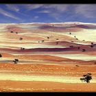 Namib Rand