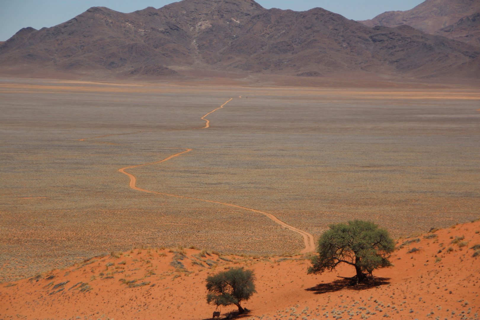 Namib Rand Nature Reserve