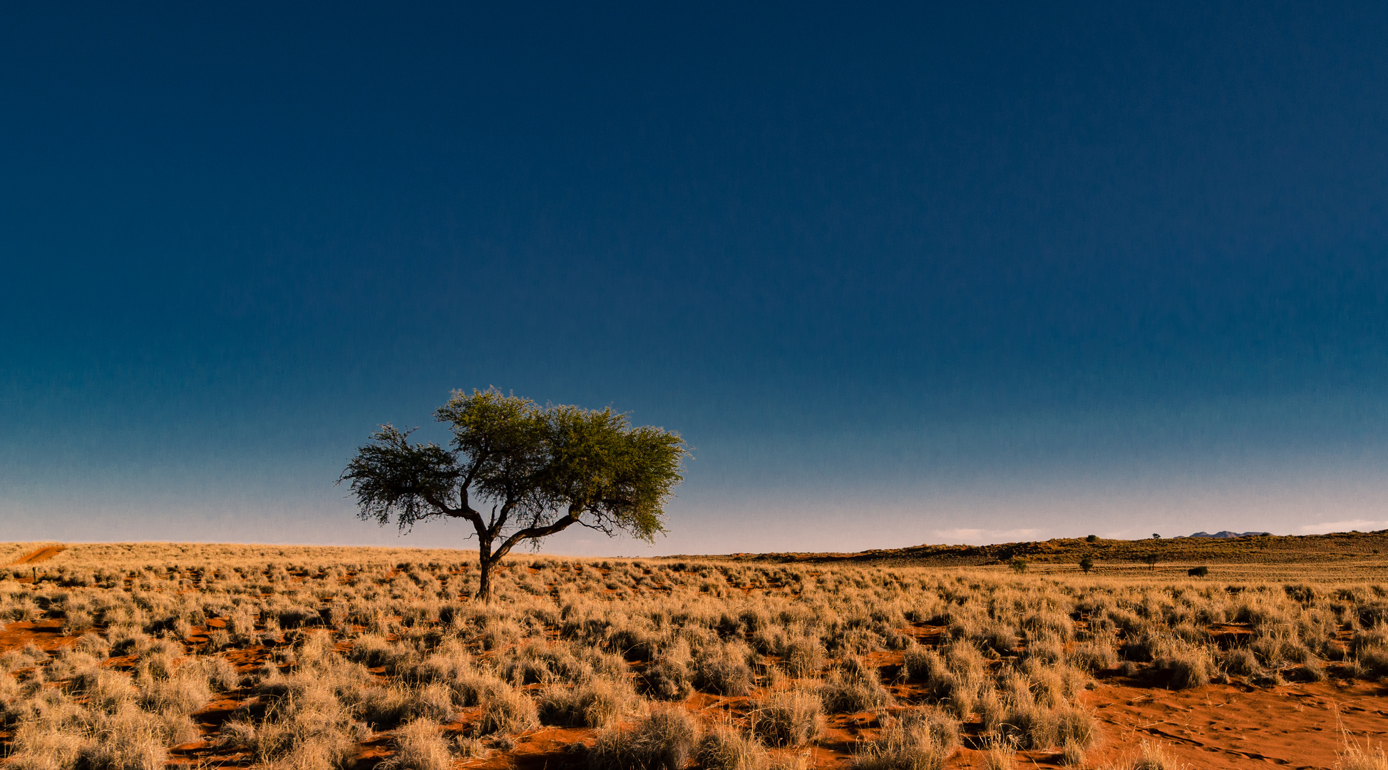 Namib-Rand Nature Reserve