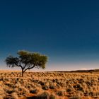 Namib-Rand Nature Reserve