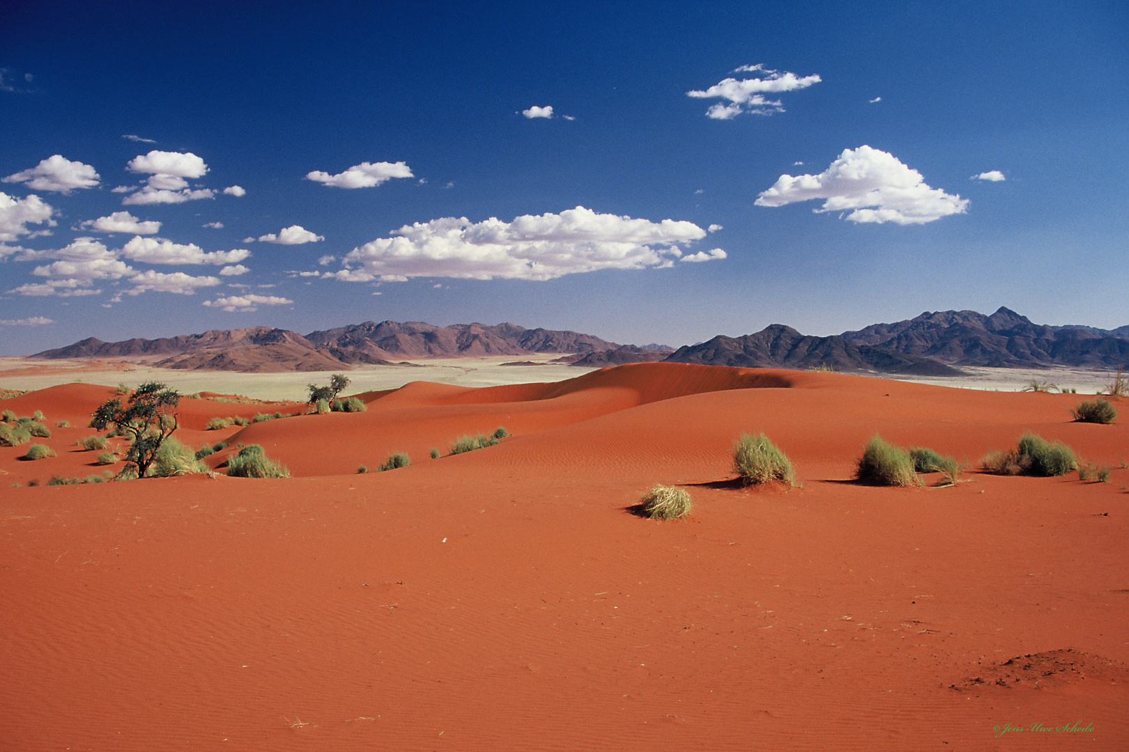 Namib Rand Nature Reserve / Wolwedans