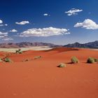 Namib Rand Nature Reserve / Wolwedans