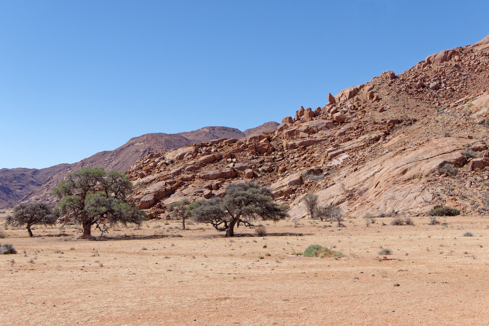 Namib Rand Naturschutzgebiet_2