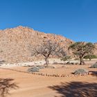 Namib Rand Naturschutzgebiet_3