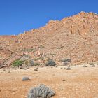 Namib Rand Naturschutzgebiet_4