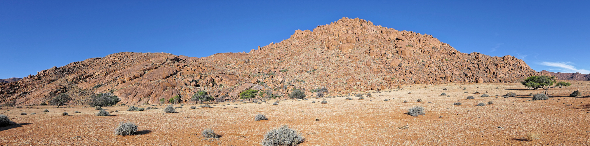 Namib Rand Naturschutzgebiet_4