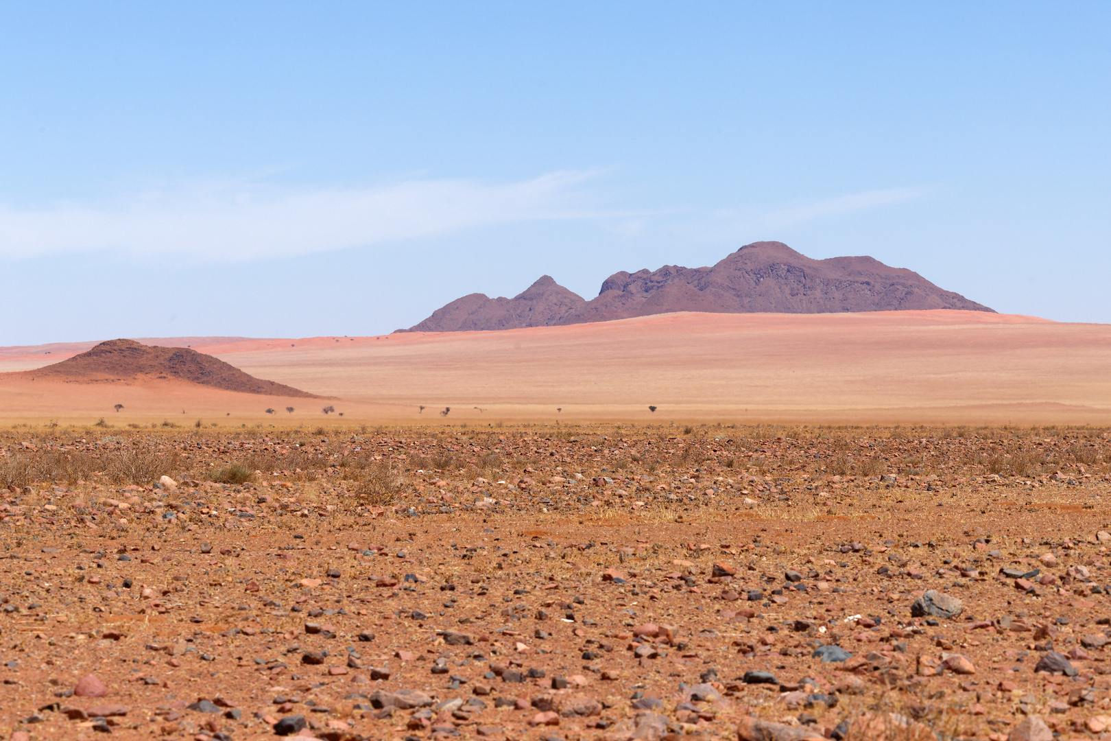 Namib Rand Naturschutzgebiet_6