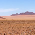 Namib Rand Naturschutzgebiet_6