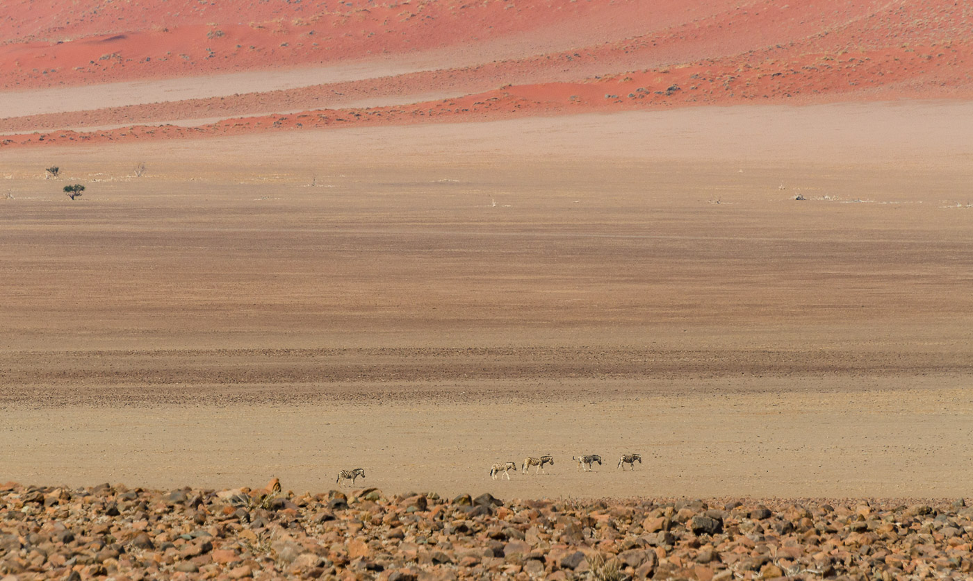 Namib Rand Reserve