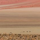 Namib Rand Reserve