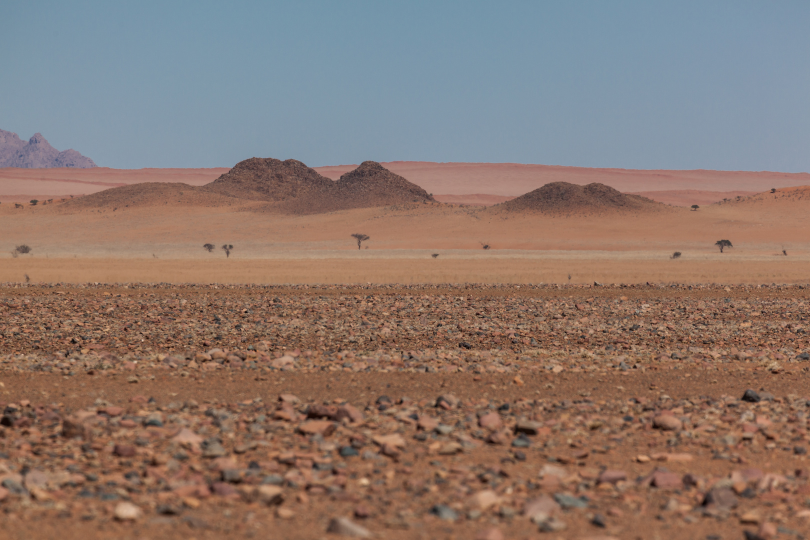 Namib Rand Steinwüste