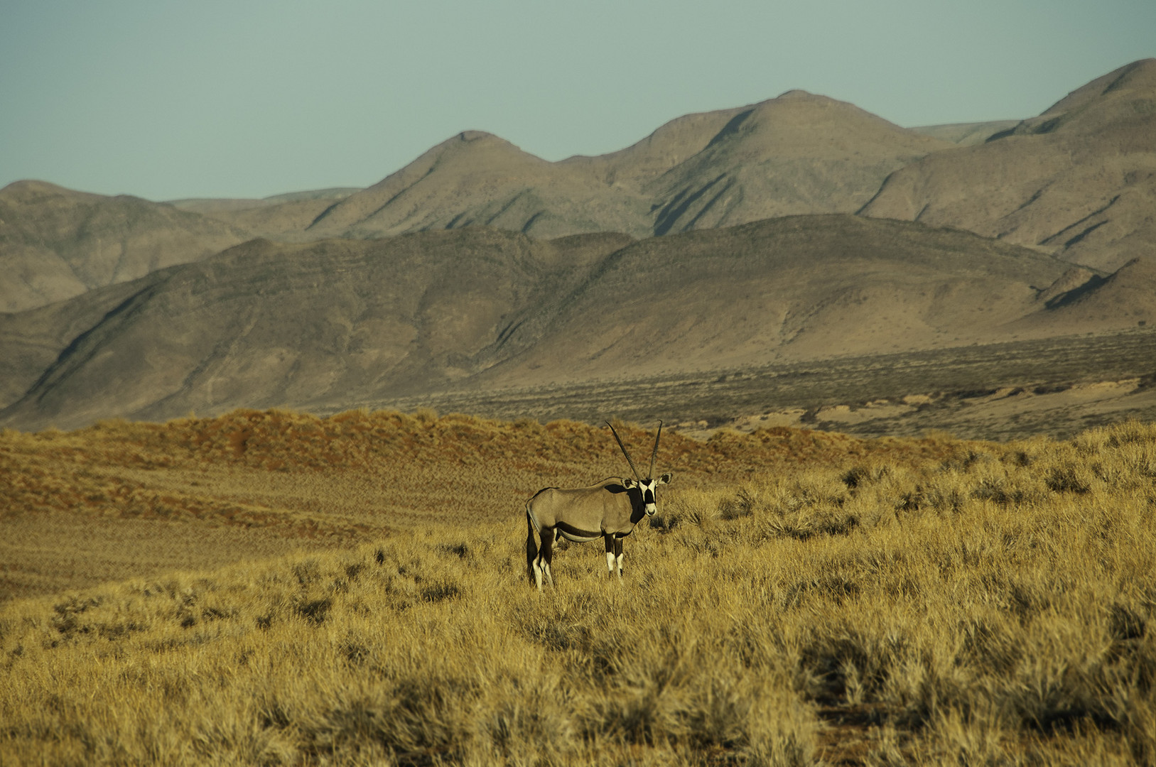 Namib-Randgebiet