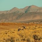 Namib-Randgebiet