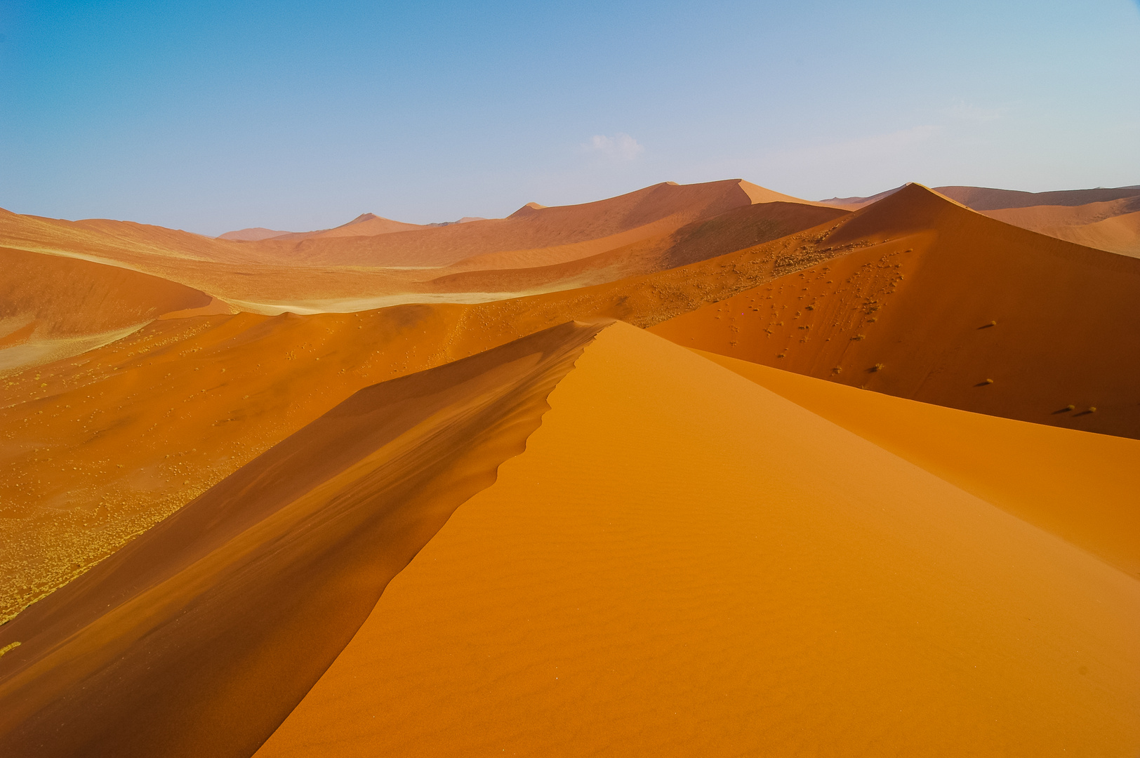 Namib Sand