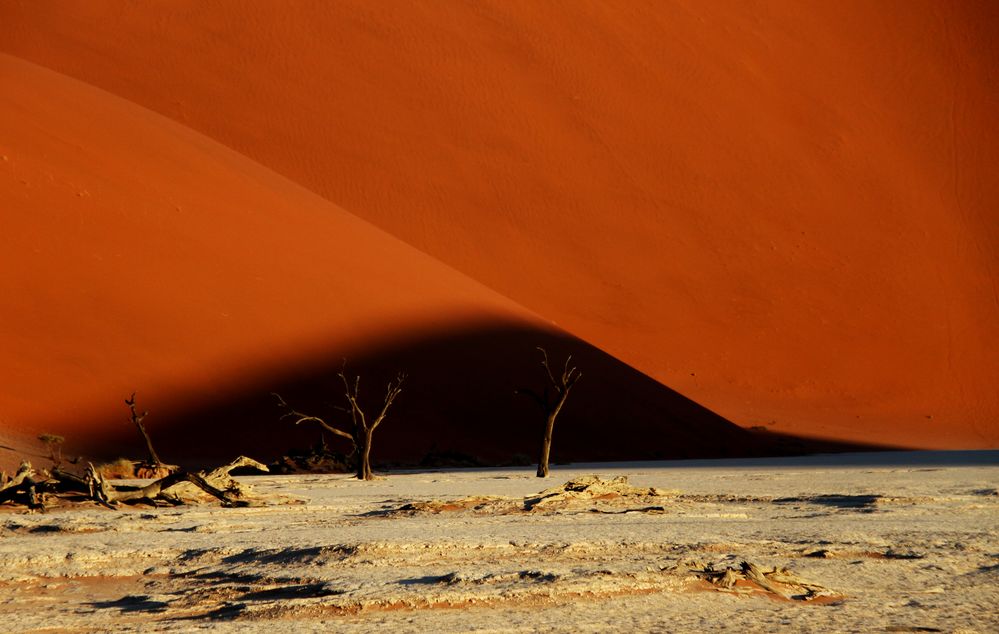 namib shaddow