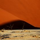 namib shaddow