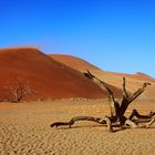 Namib - Sossusvlei