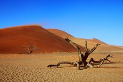 Namib - Sossusvlei