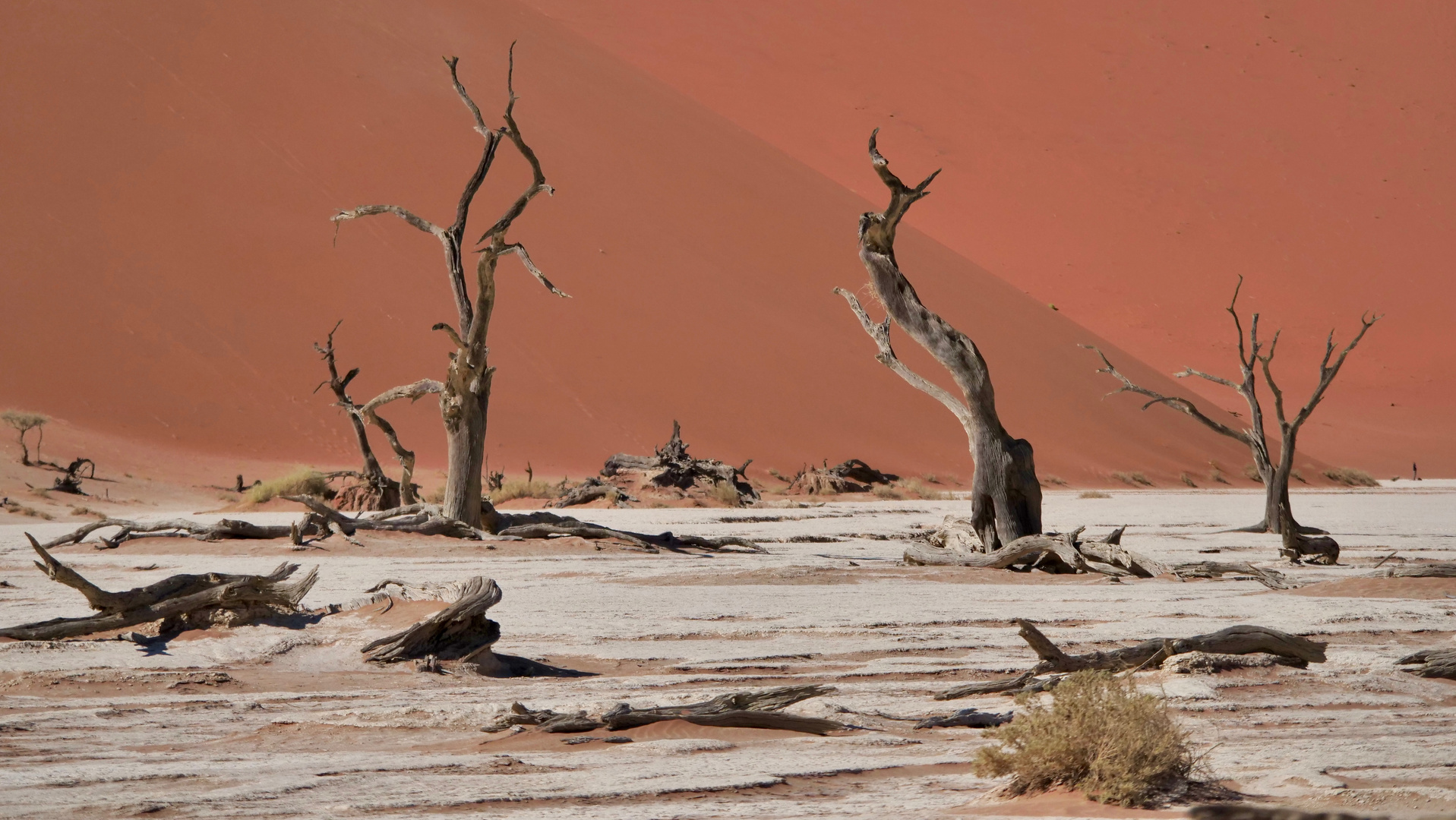 Namib - Todessenke