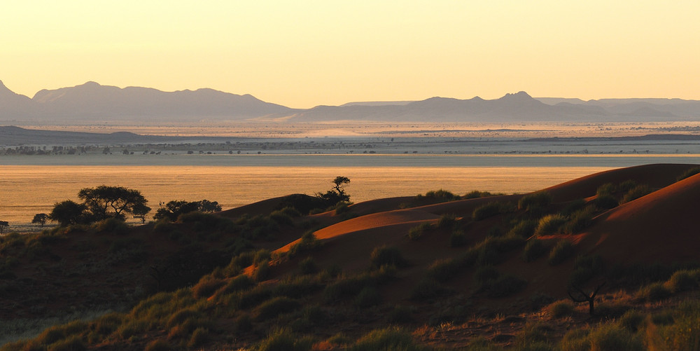 Namib Toulouse 1