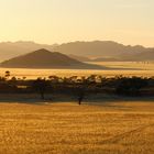 Namib Toulouse 2