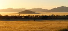 Namib Toulouse 2