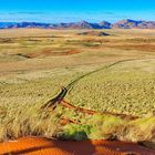 Namib unter grüner Decke