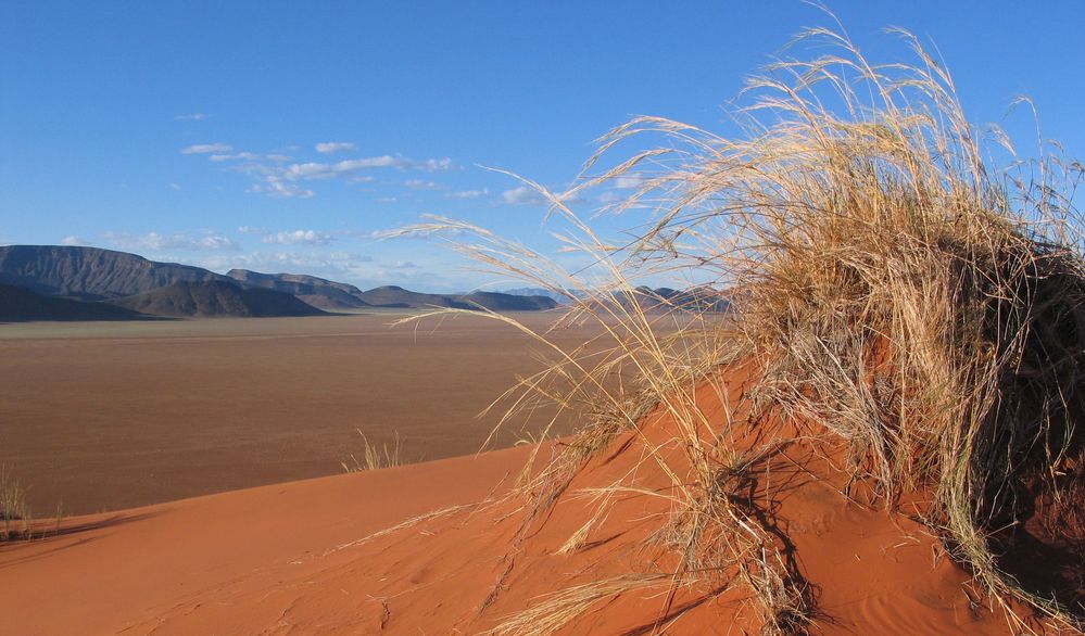 Namib-Wüste von Monika Hütter 
