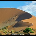 Namib Wüste