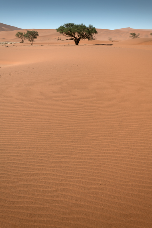 Namib Wüste