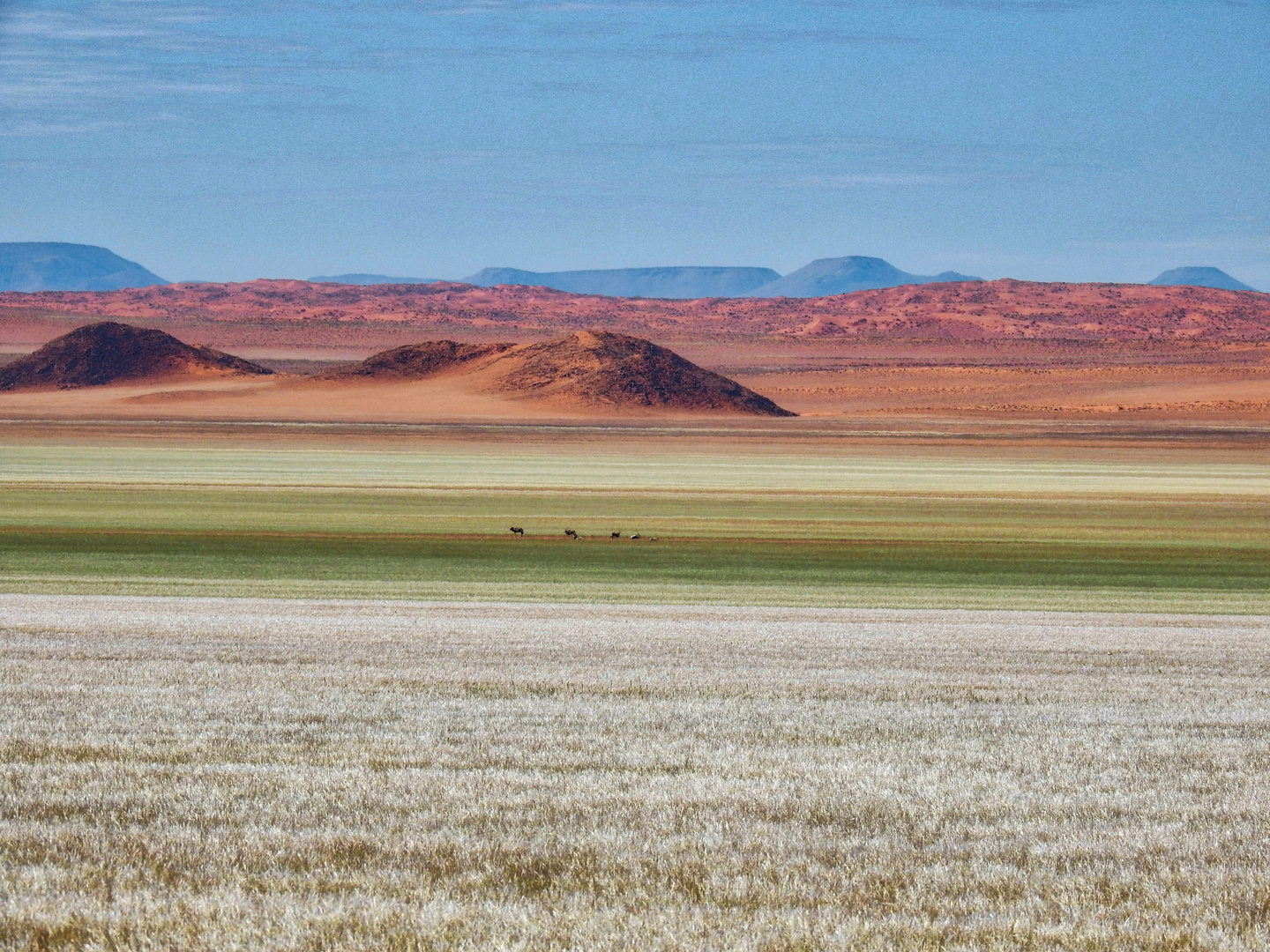 Namib Wüste