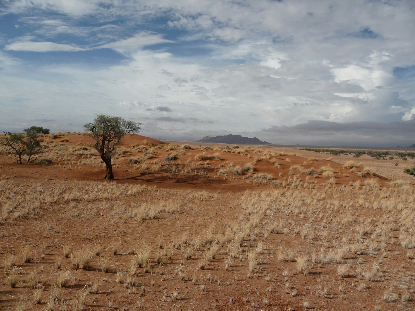 Namib-Wüste