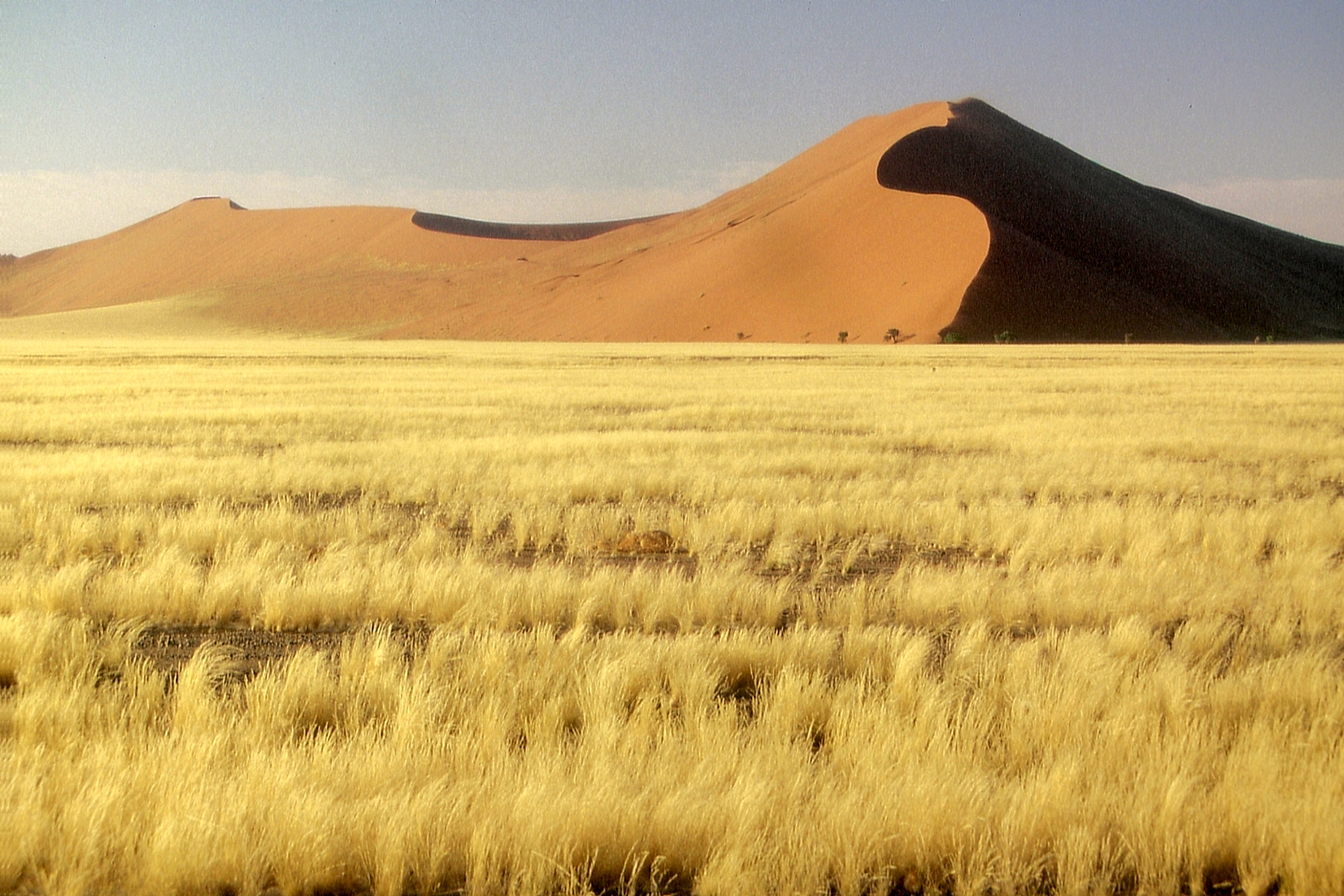 Namib Wüste