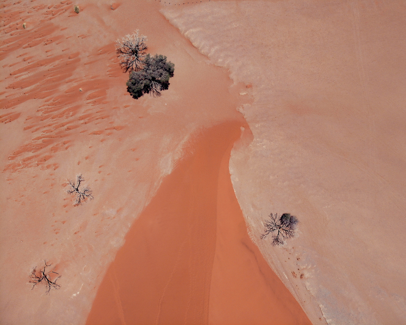 Namib- Wüste