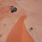Namib- Wüste