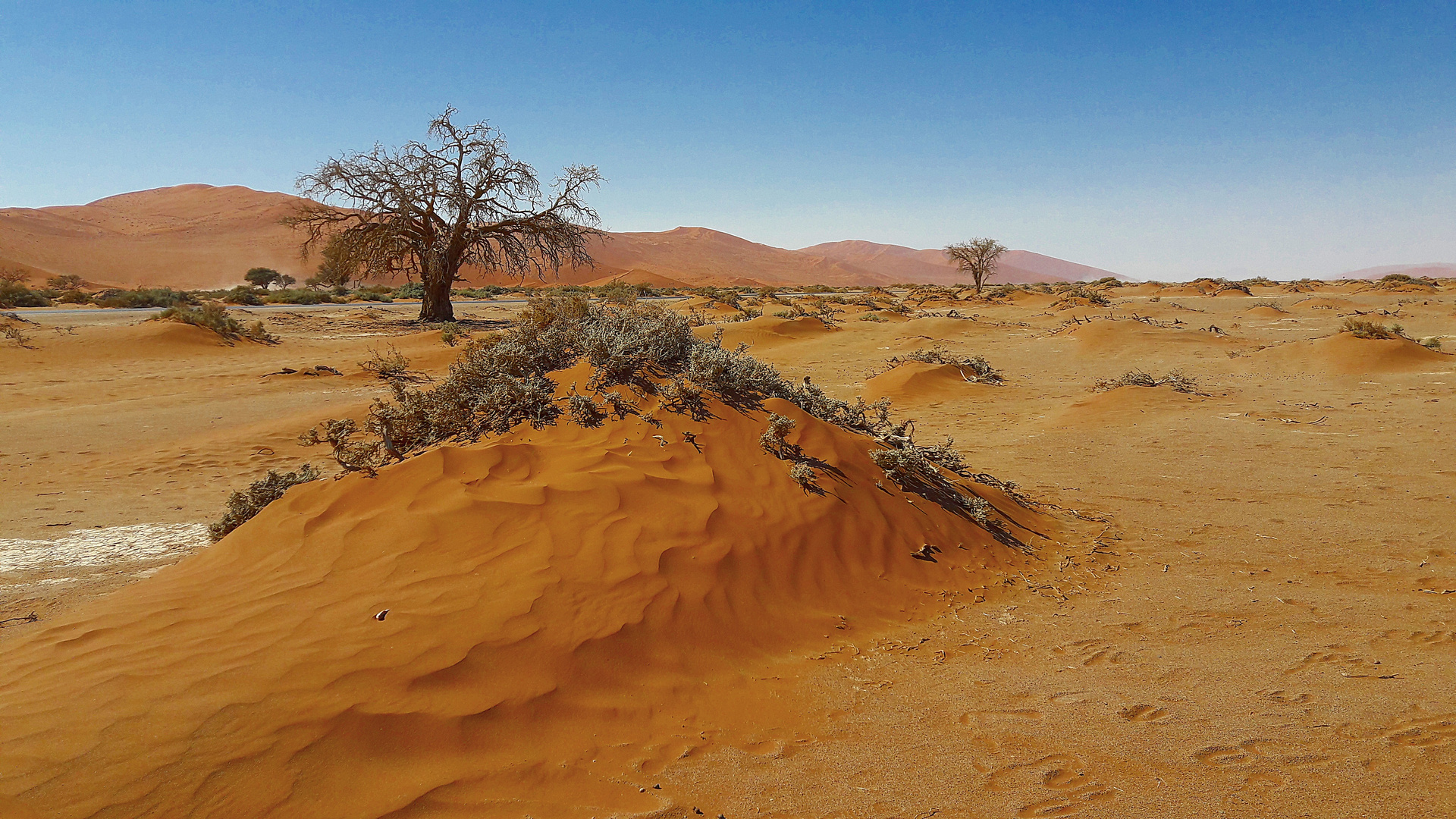 Namib1