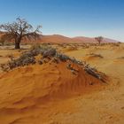 Namib1