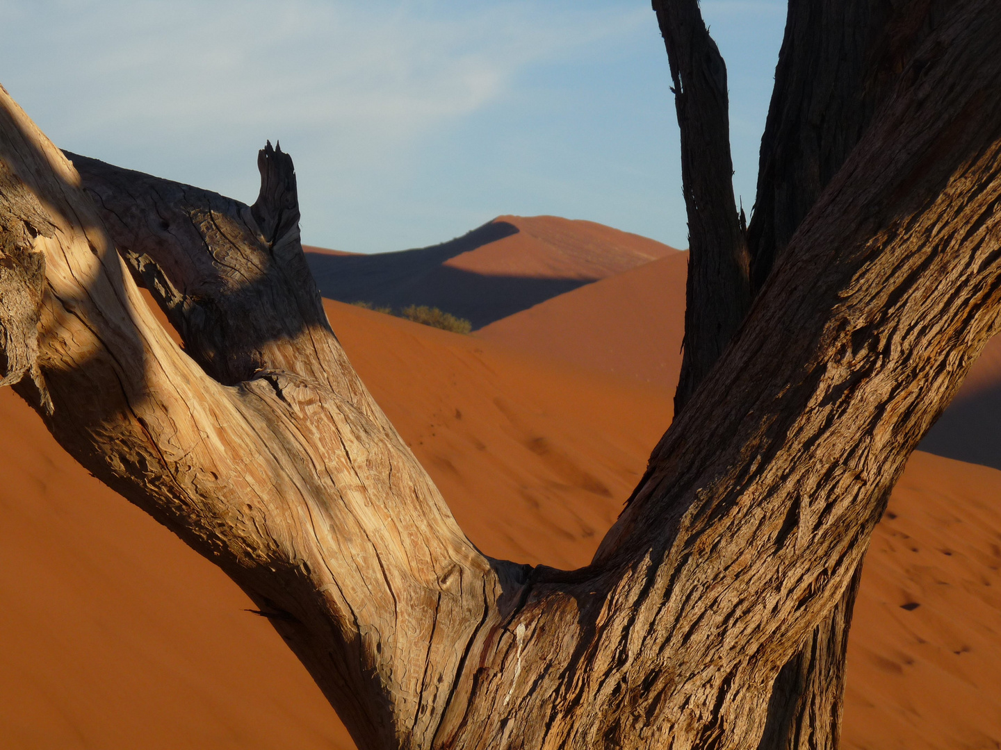 Namib_2