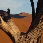 Namib_2