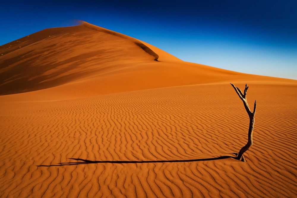 Namib..der Fingerzeig zum Himmel