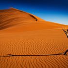 Namib..der Fingerzeig zum Himmel