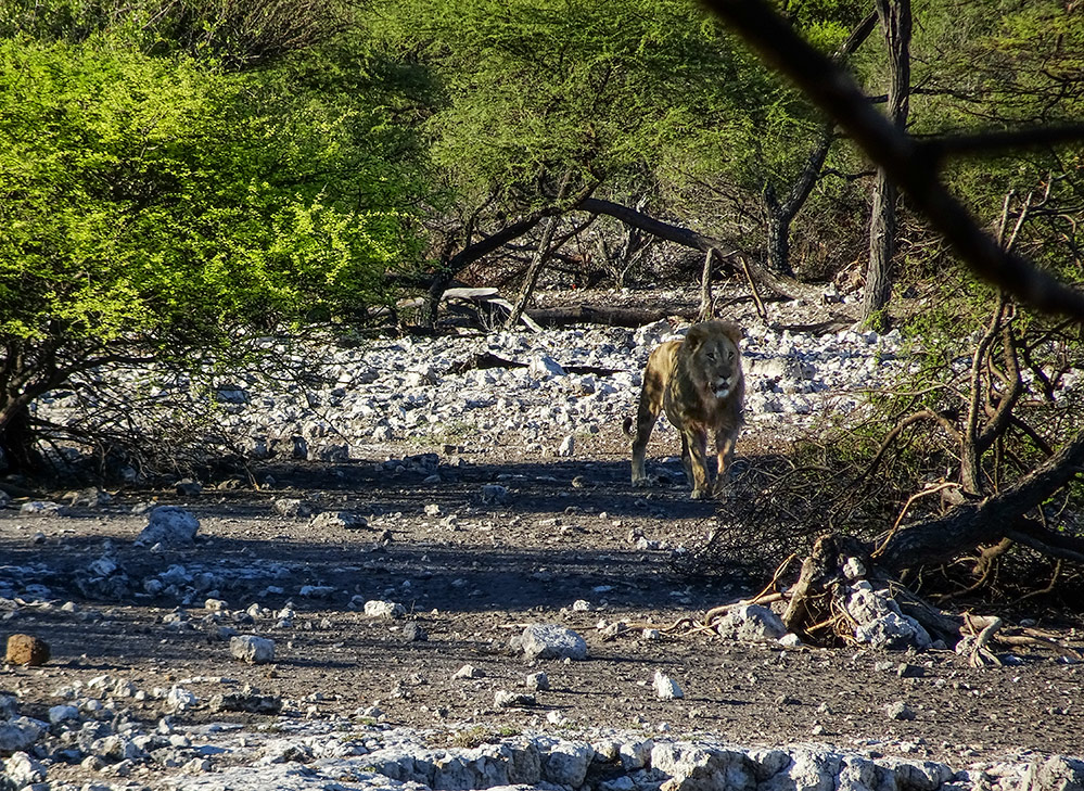 Namibia 01