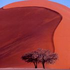 namibia